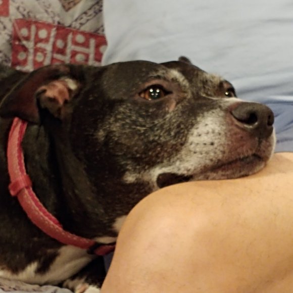 MEET YOUR POSHER, Tatiana ππ π»πΆπ - Picture 9 of 15